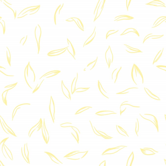 Funda de almohada 100% algodón Maastricht  3