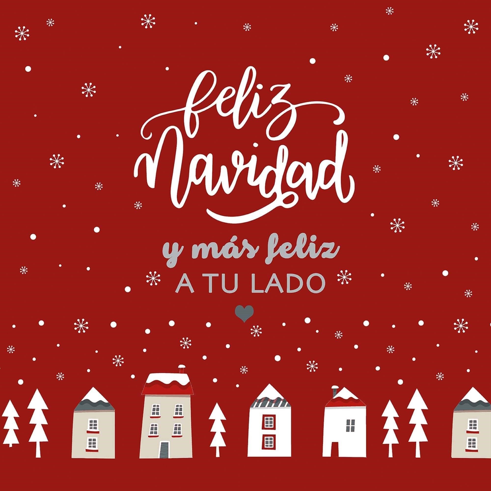 Funda cojin Laponia 35 50x50 cm 100% algodón 3