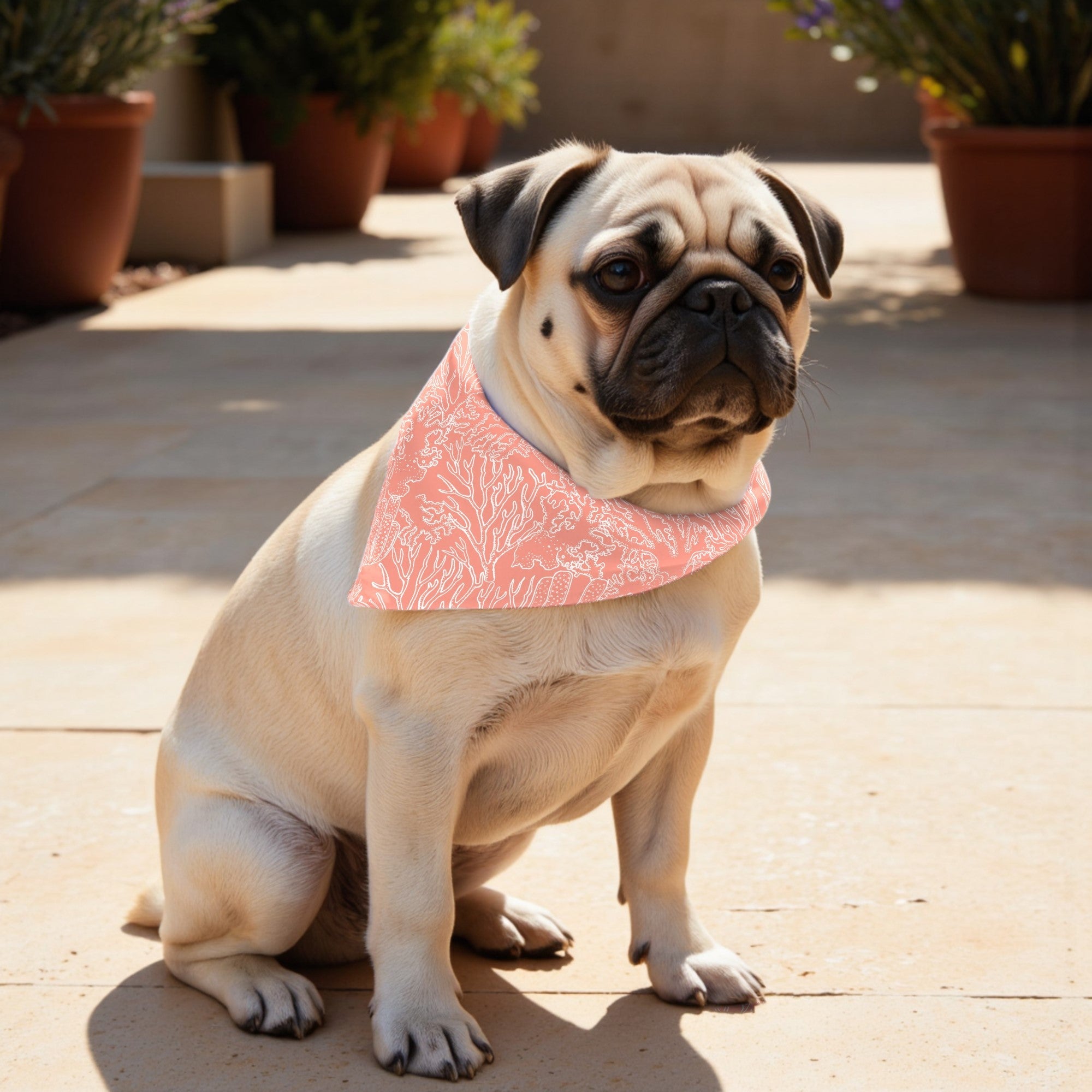 Pack 2 unidades bandana para mascotas Modelo 22