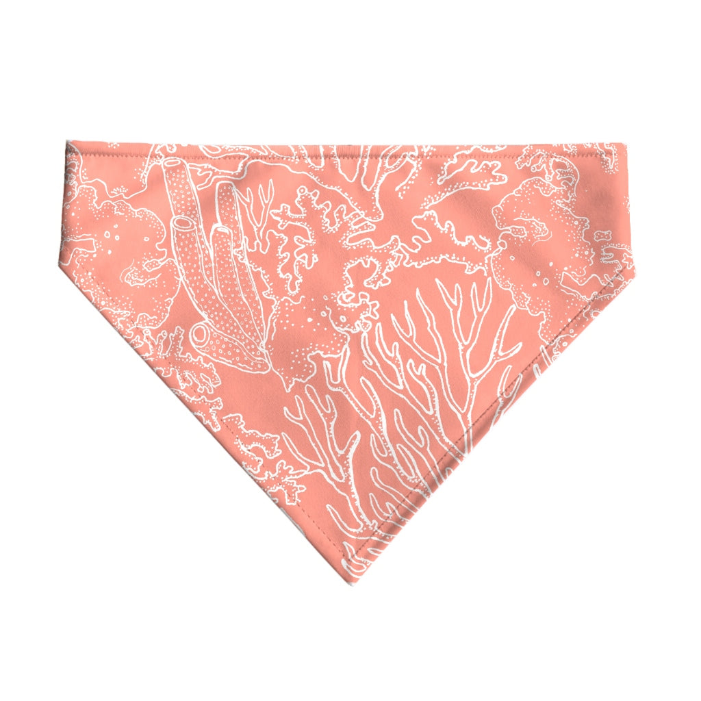 Pack 2 unidades bandana para mascotas Modelo 22