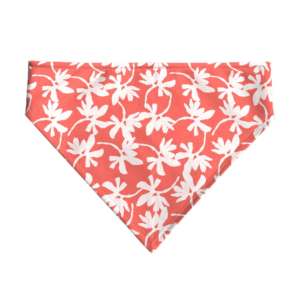 Pack 2 unidades bandana para mascotas Modelo 25