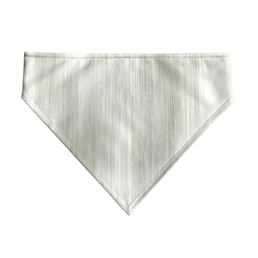 Pack 2 unidades bandana para mascotas Modelo 4