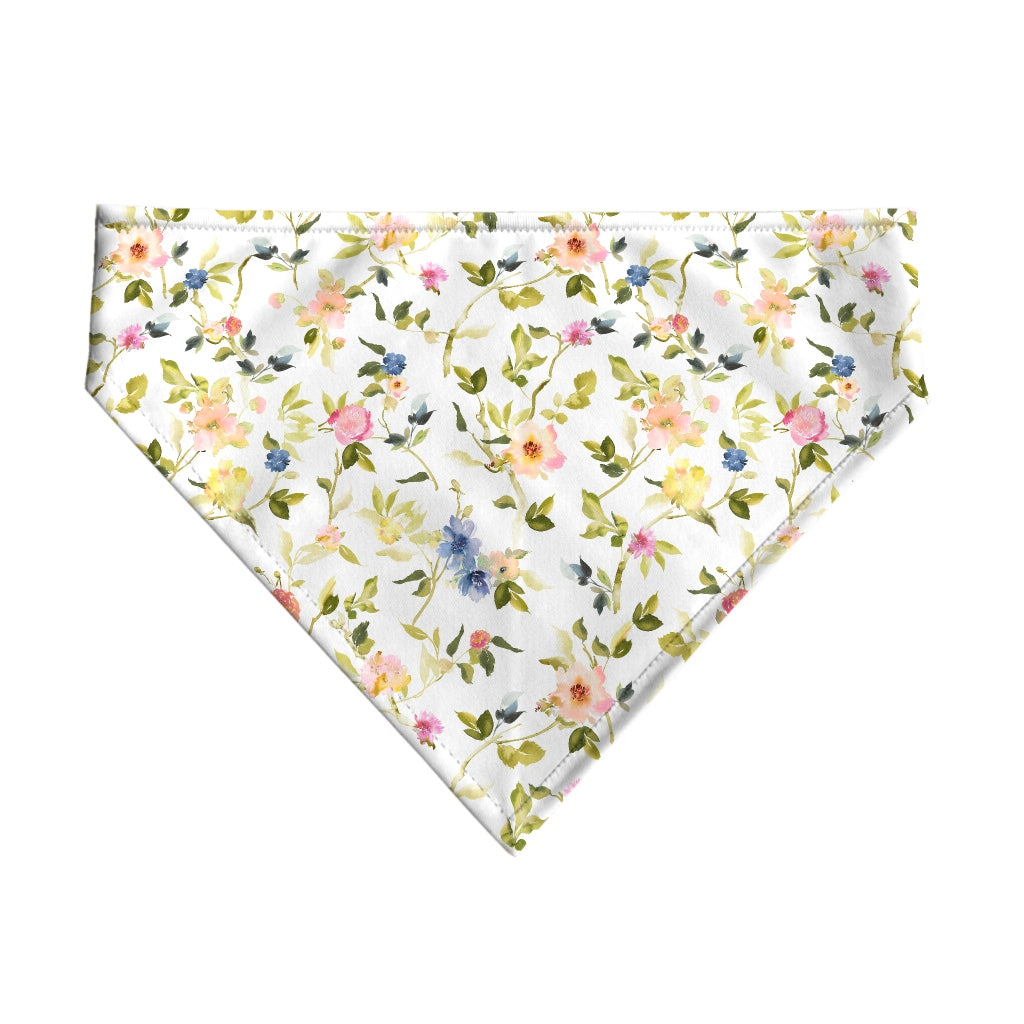 Pack 2 unidades bandana para mascotas Modelo 5