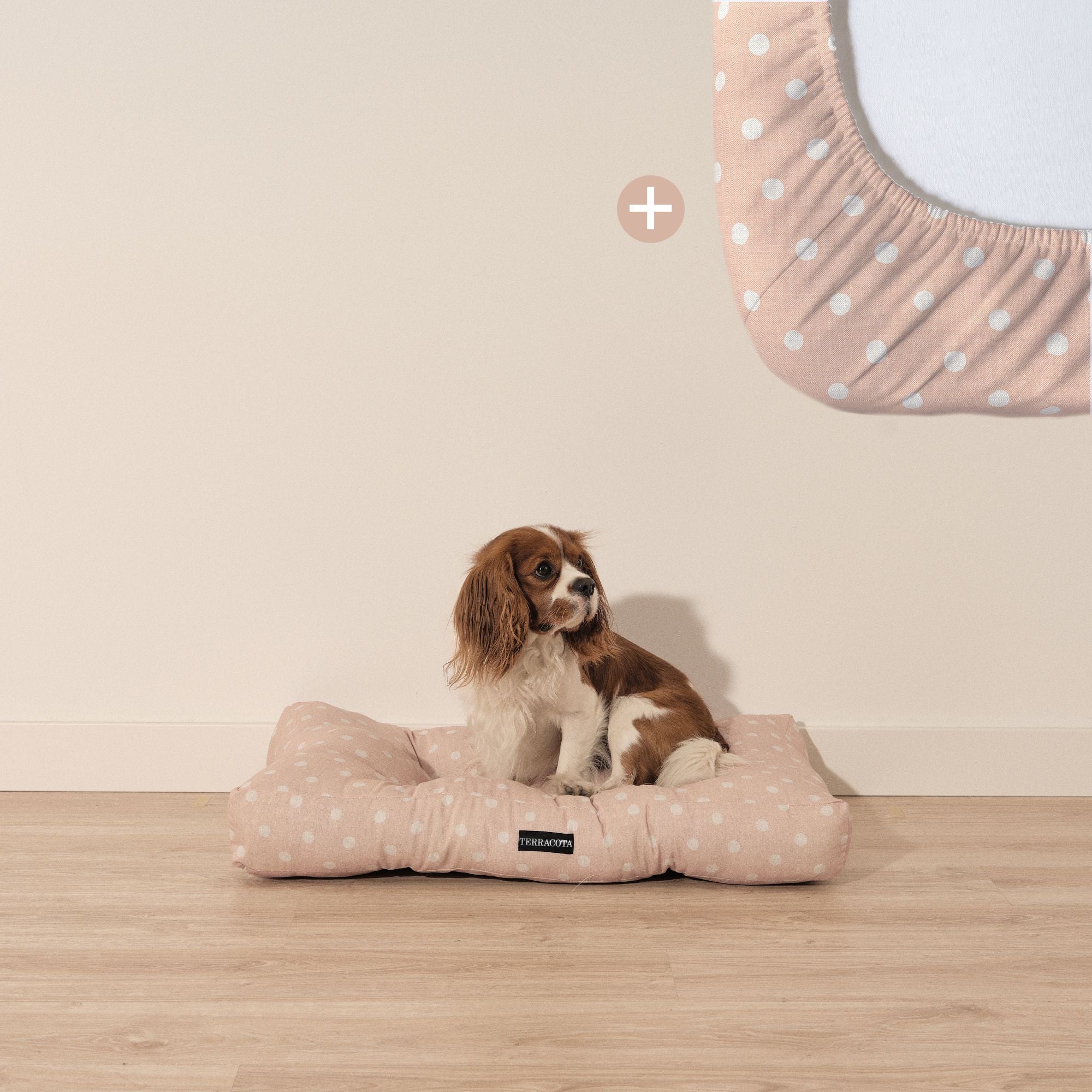 Pack cama para mascota + Protector antimanchas 0120-179