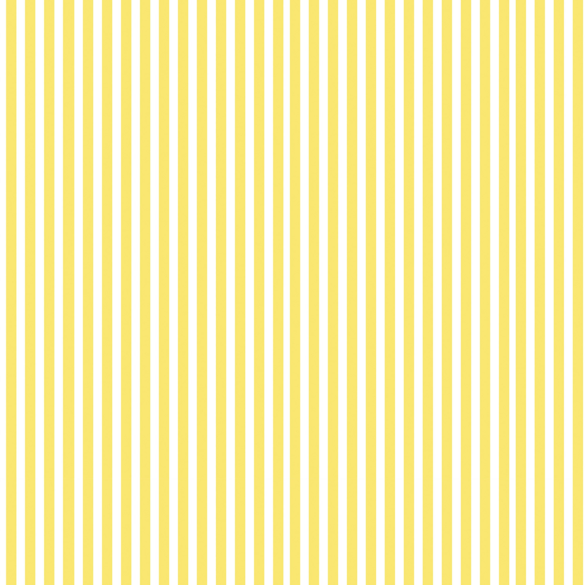 Ledit drap housse 100% coton