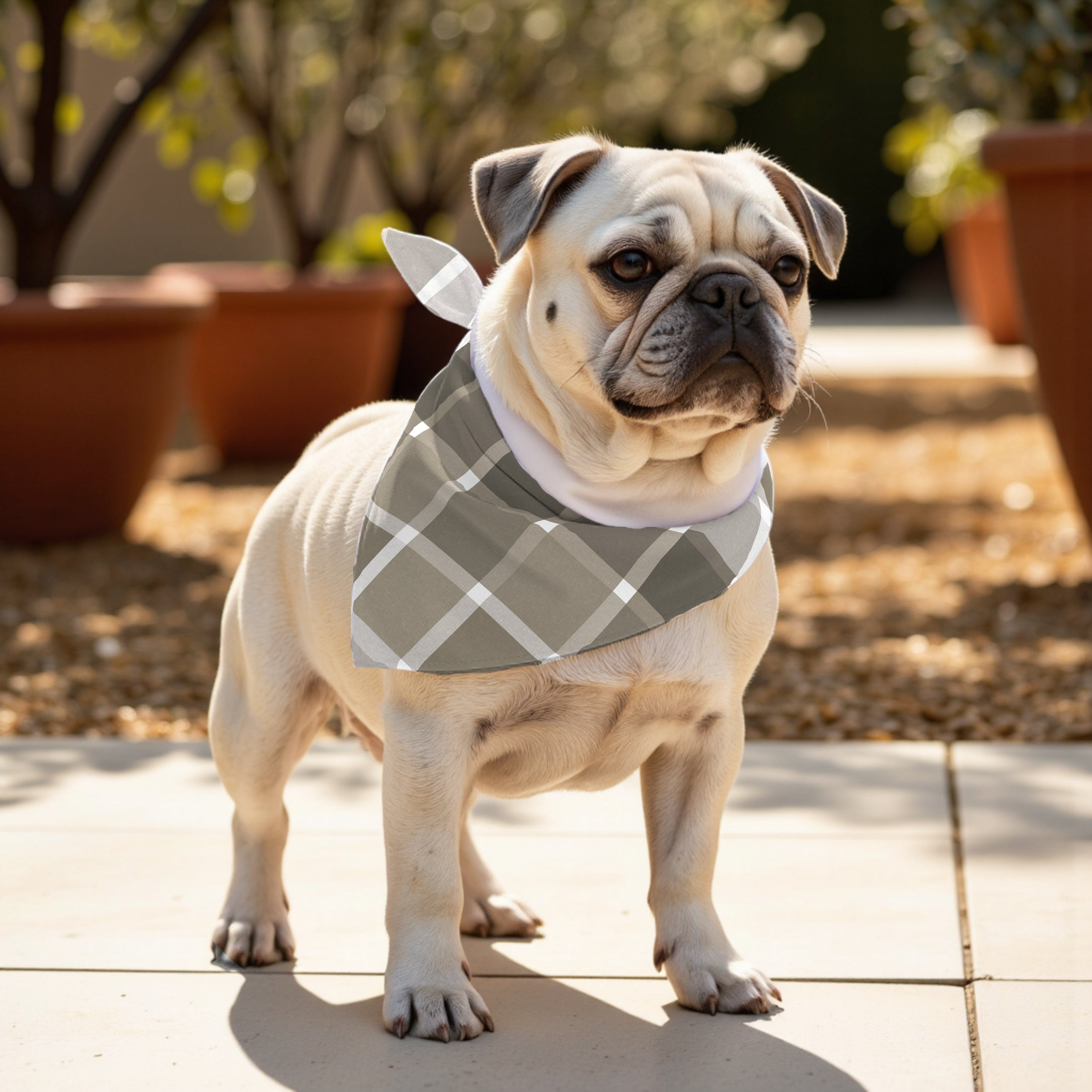 Pack 2 unidades bandana para mascotas SUTTON MARRON RED.