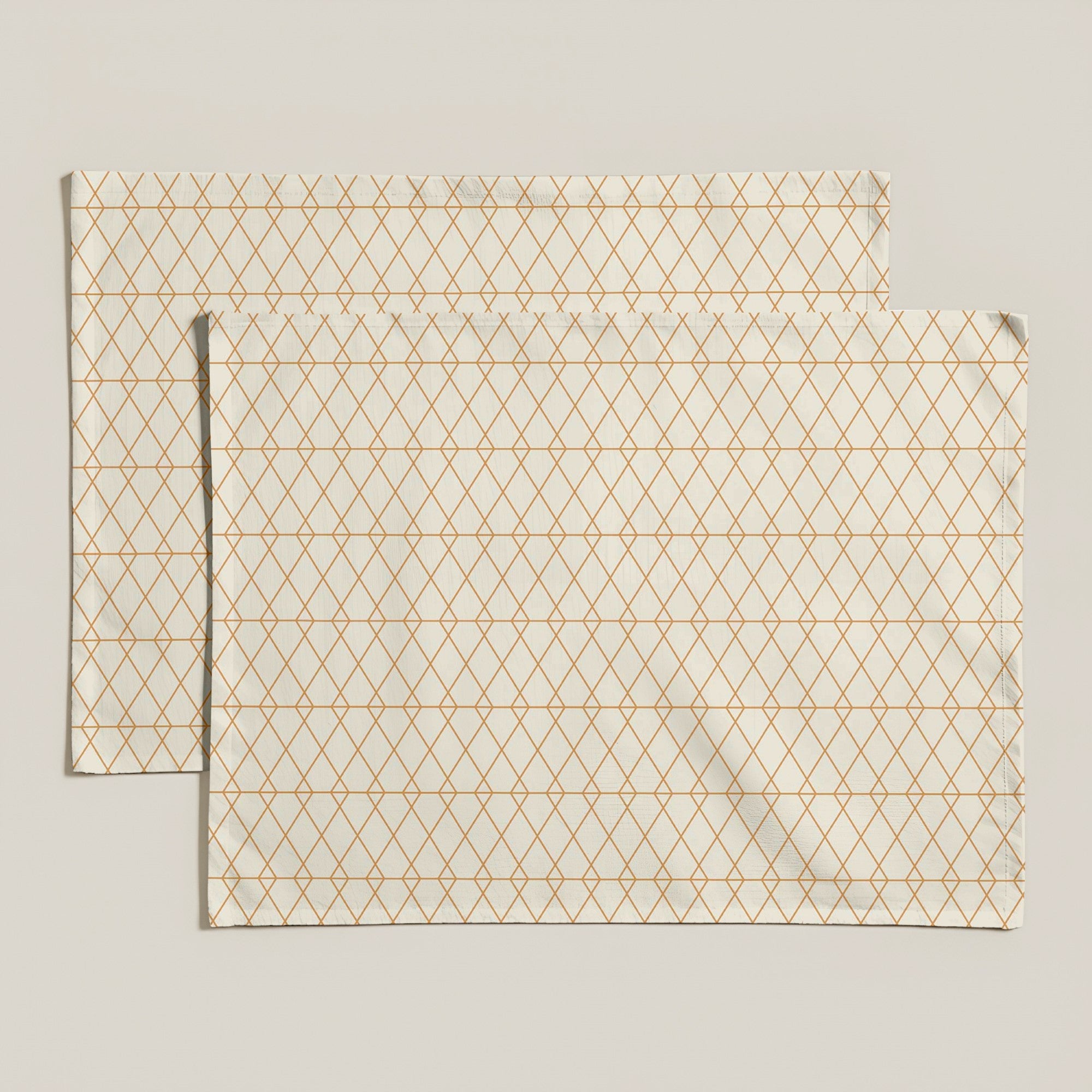 Pack of 2 resin individual placemats 0120-25 - 45x35 cm