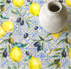 Nappe antitache 0120-260