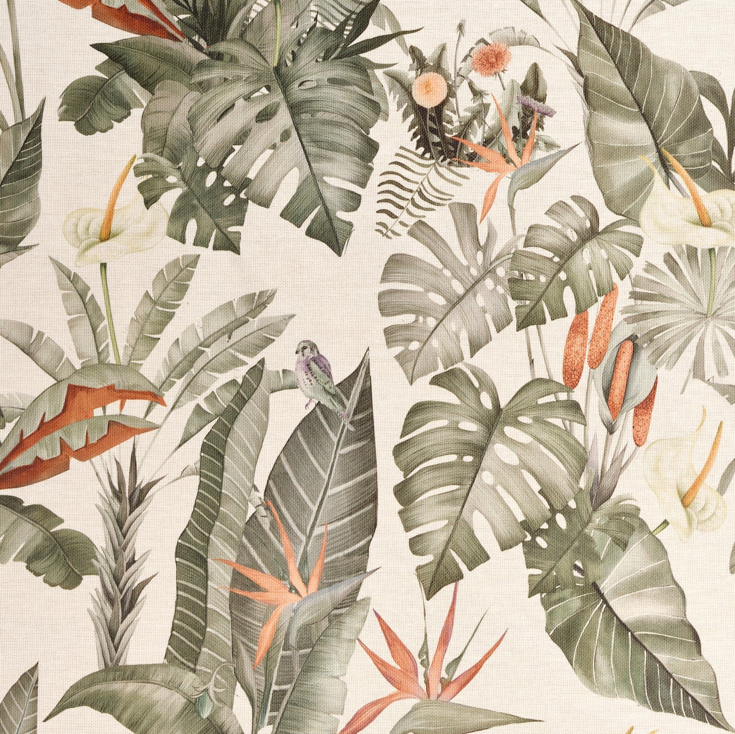 Nappe antitache Mirari 1