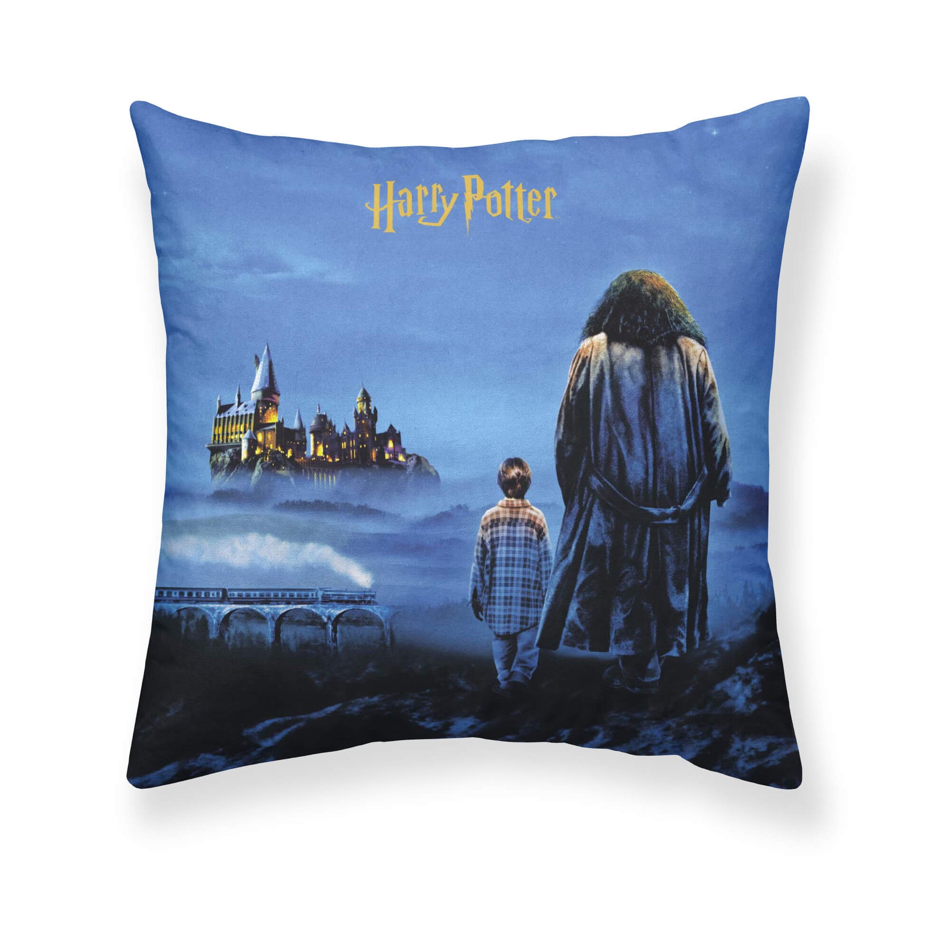 Funda de cojín Philosopher's Stone A 50X50 cm Harry Potter 0