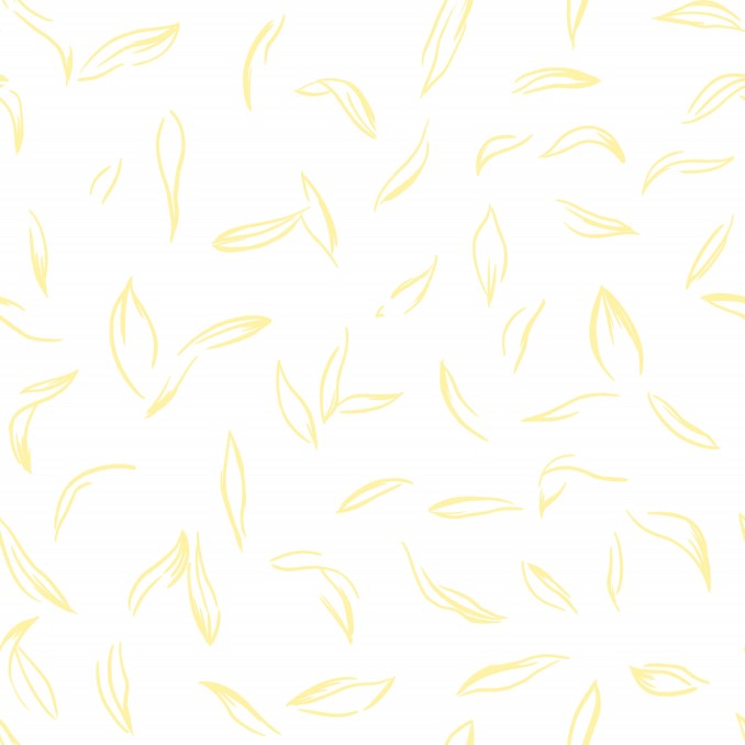 Bajera Maastricht 100% algodón 2