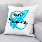 Funda de cojín 100% algodón 50x50 cm Quitapenas de Anna Llenas en català 4