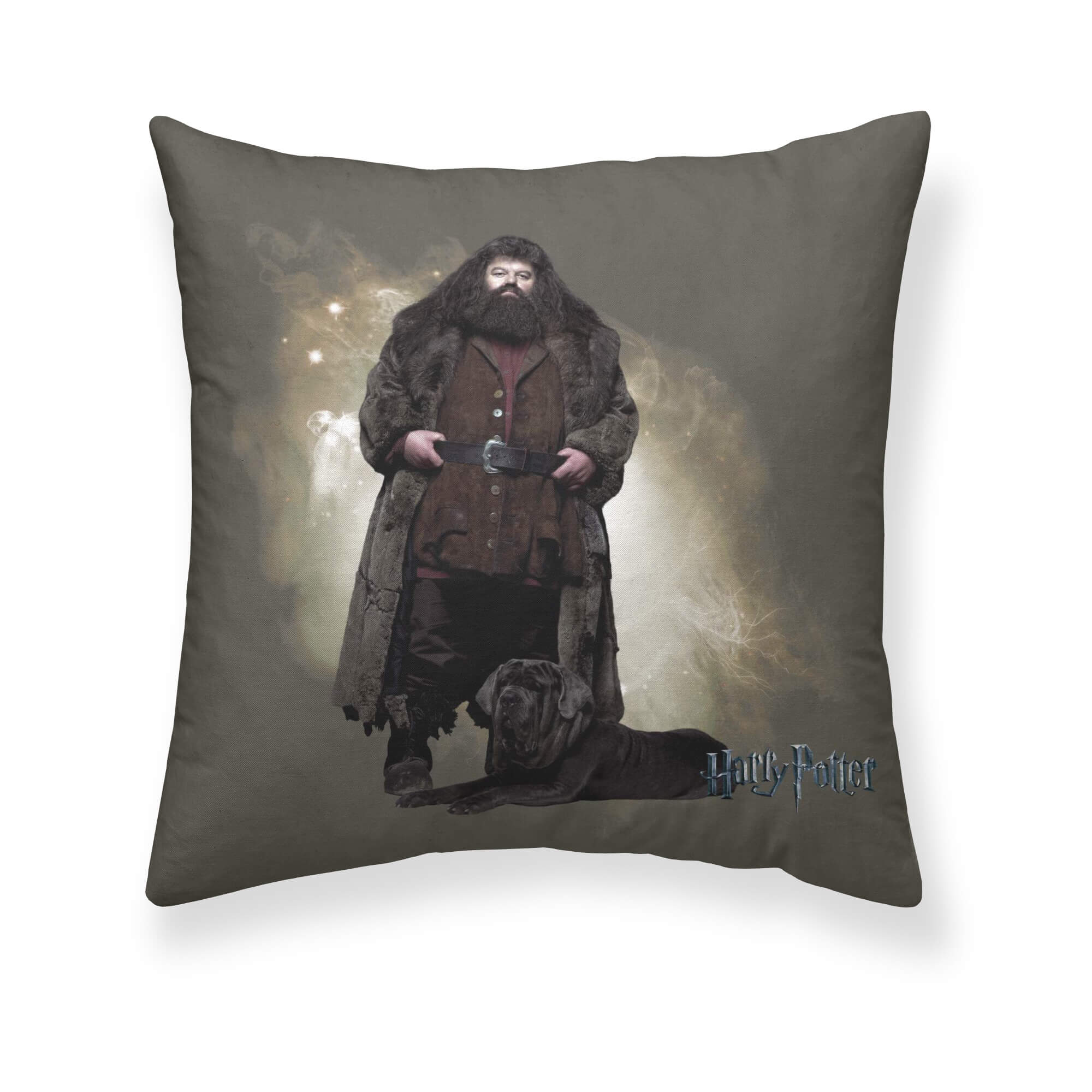 Funda de cojín Hagrid A 50X50 cm Harry Potter 0