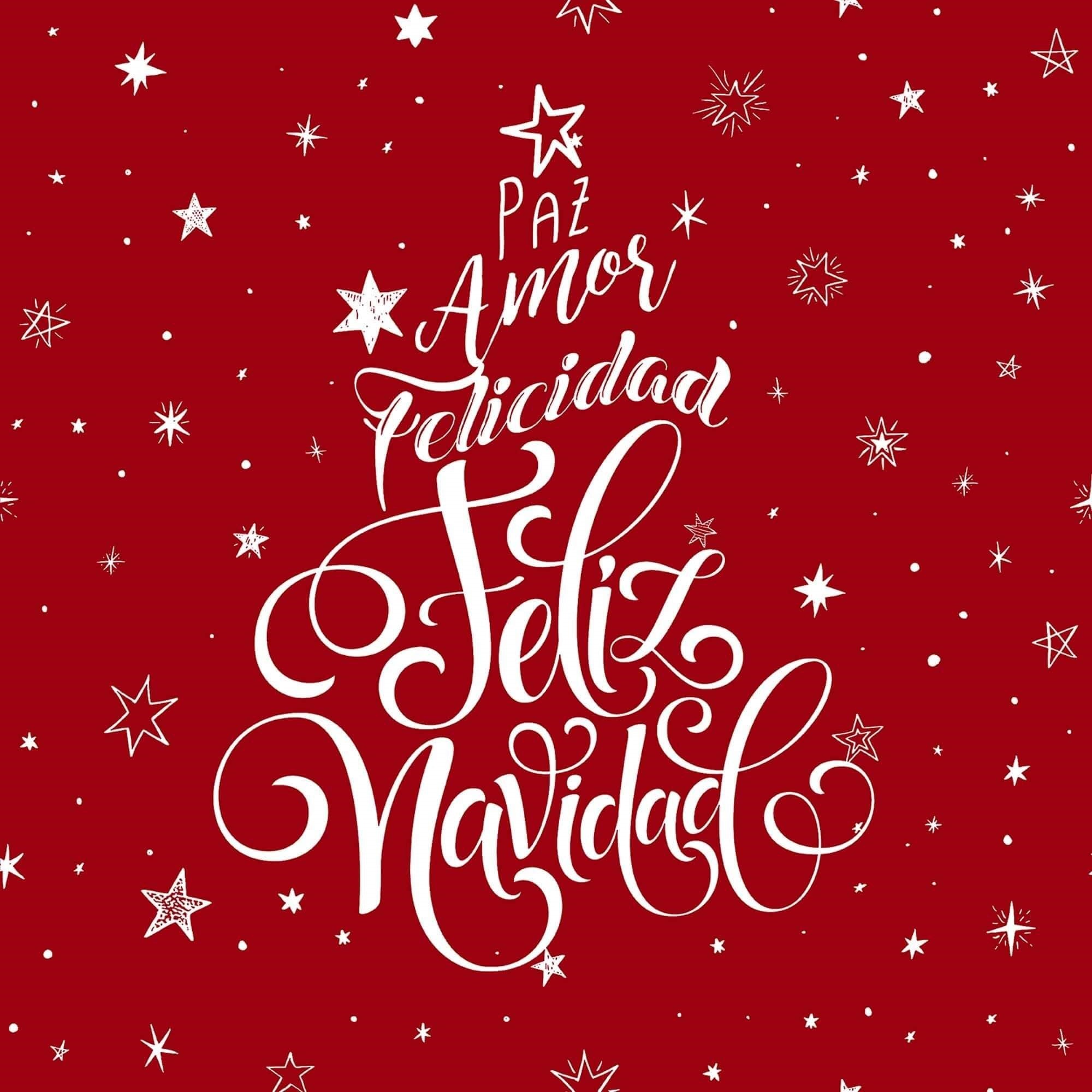 Funda cojin Laponia 31 50x50 cm 100% algodón 3