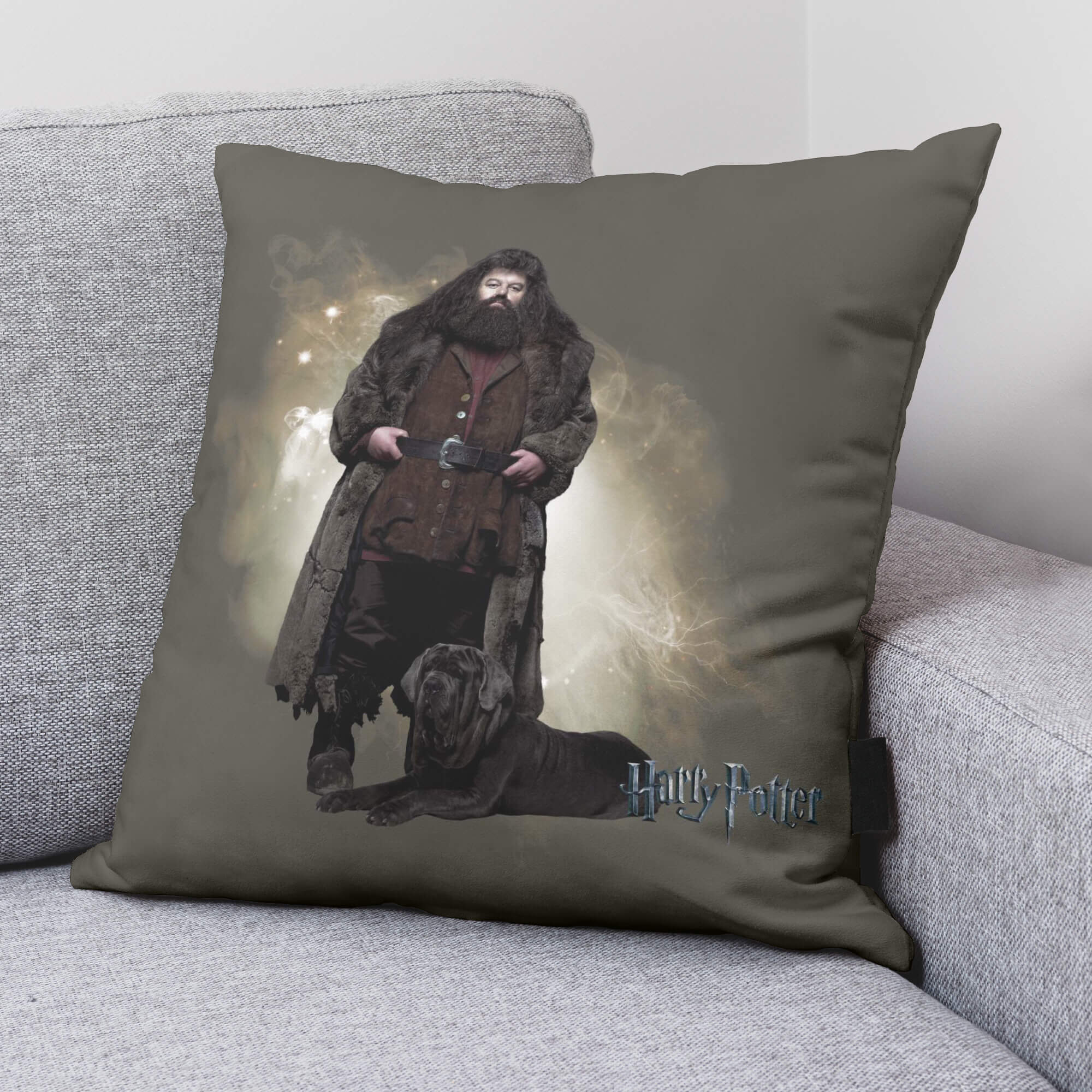 Funda de cojín Hagrid A 50X50 cm Harry Potter 2
