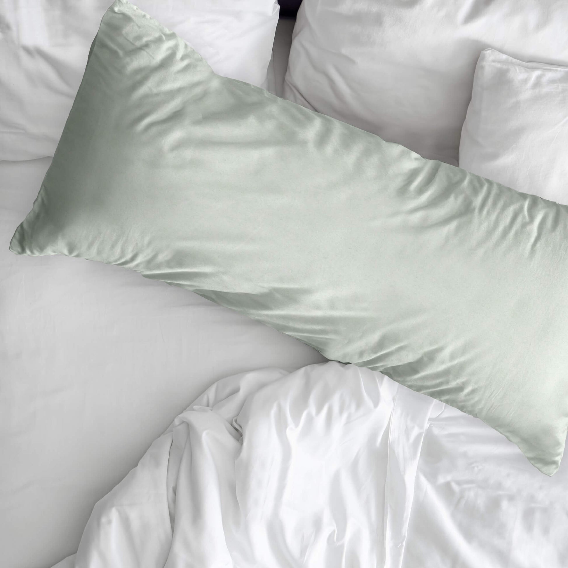 Funda de almohada 100% algodón Seeker 2
