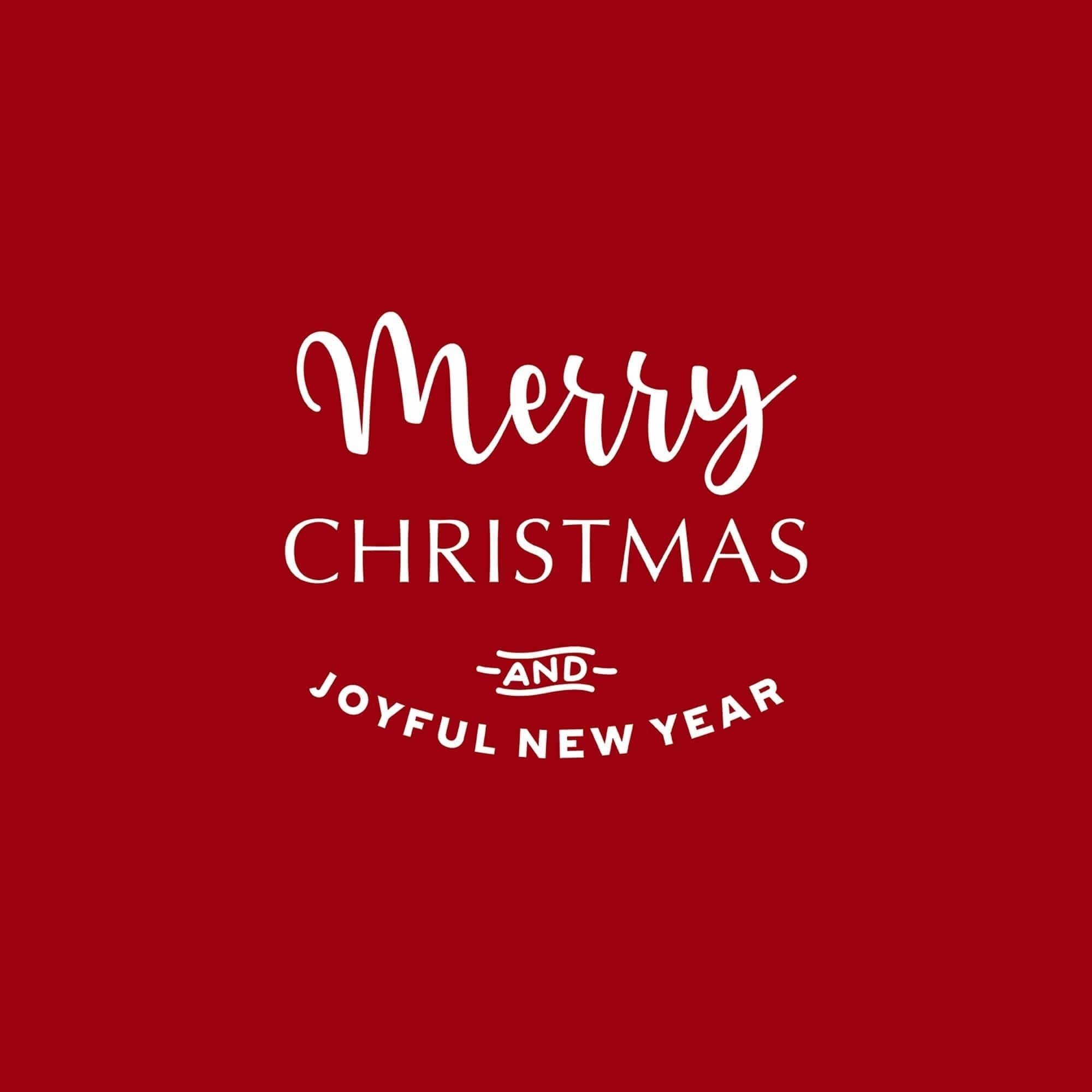 Funda cojin Laponia 28 50x50 cm 100% algodón 3