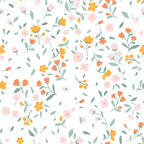 Bouti 100 gr Akaroa 2