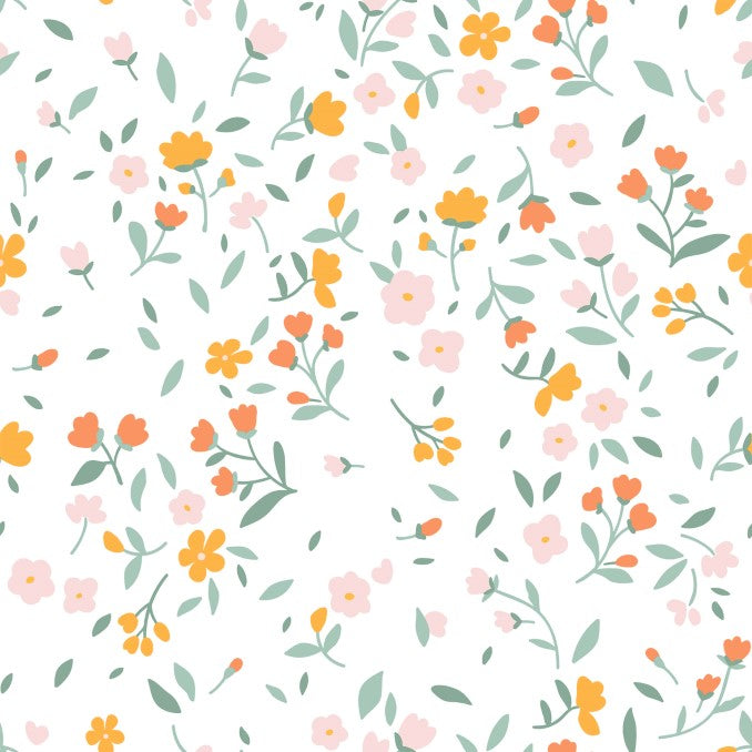 Bouti 100 gr Akaroa 2