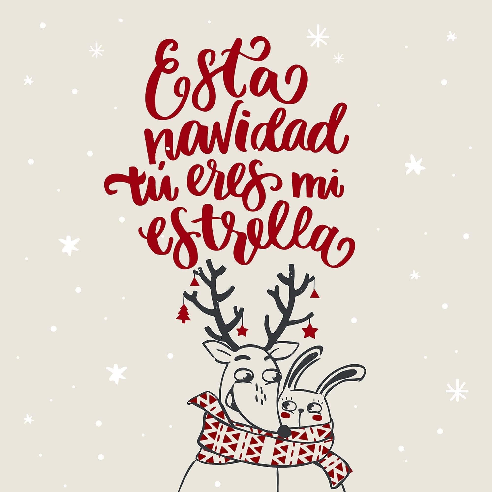 Funda cojin Laponia 33 50x50 cm 100% algodón 3