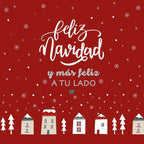 Funda cojin Laponia 35 50x50 cm 100% algodón 3