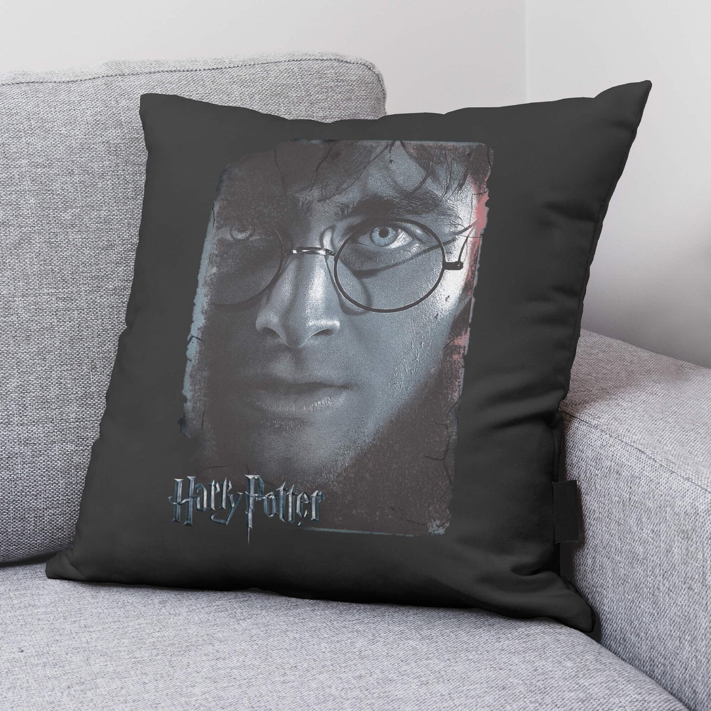 Funda de cojín Harry Potter Grey A 50X50 cm Harry Potter 2
