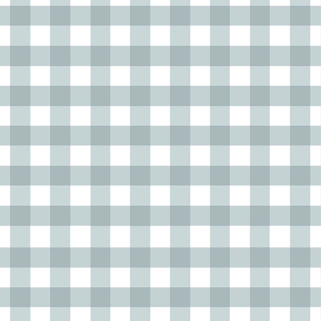 Vichy Blue Crib Duvet Cover