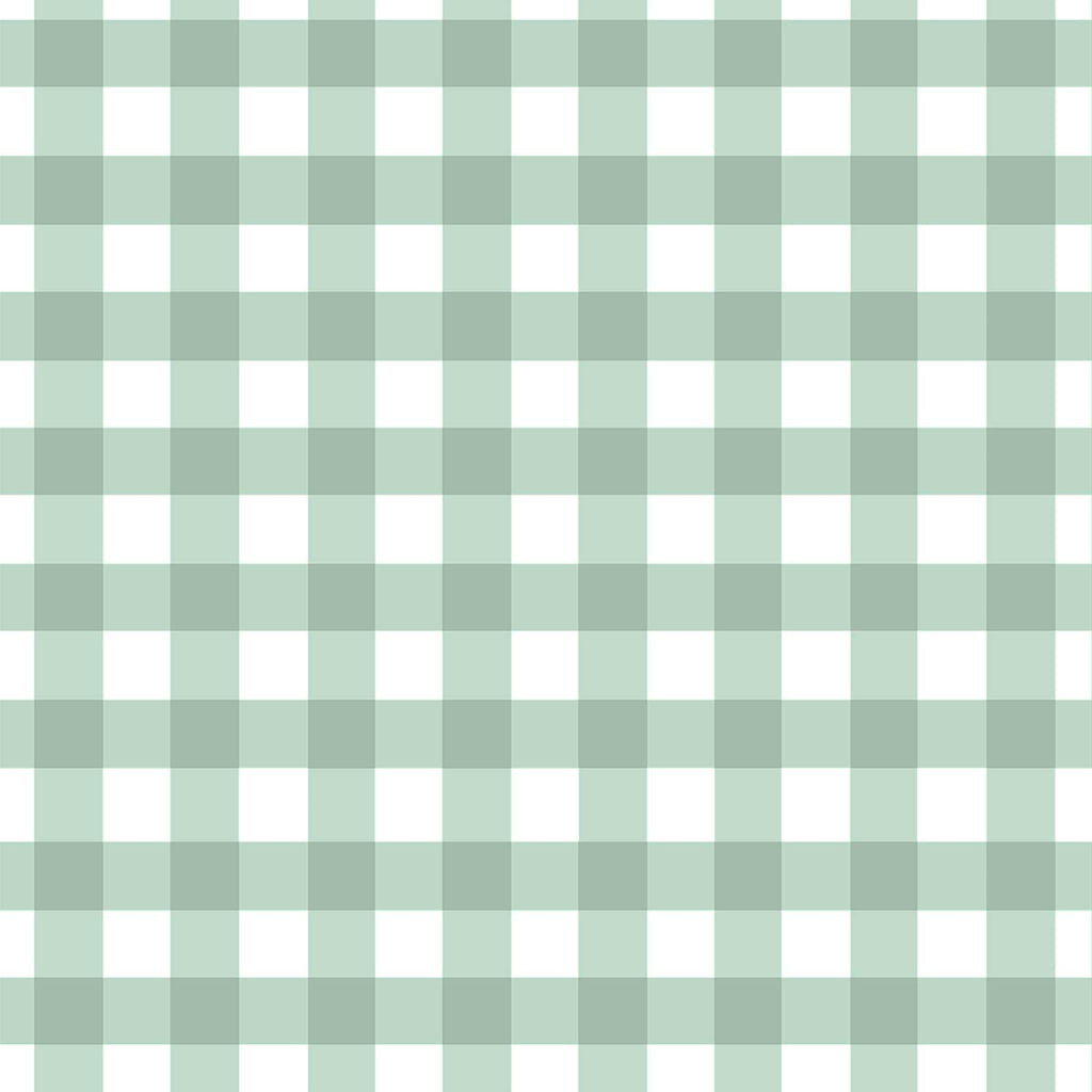 Vichy Mint crib duvet cover