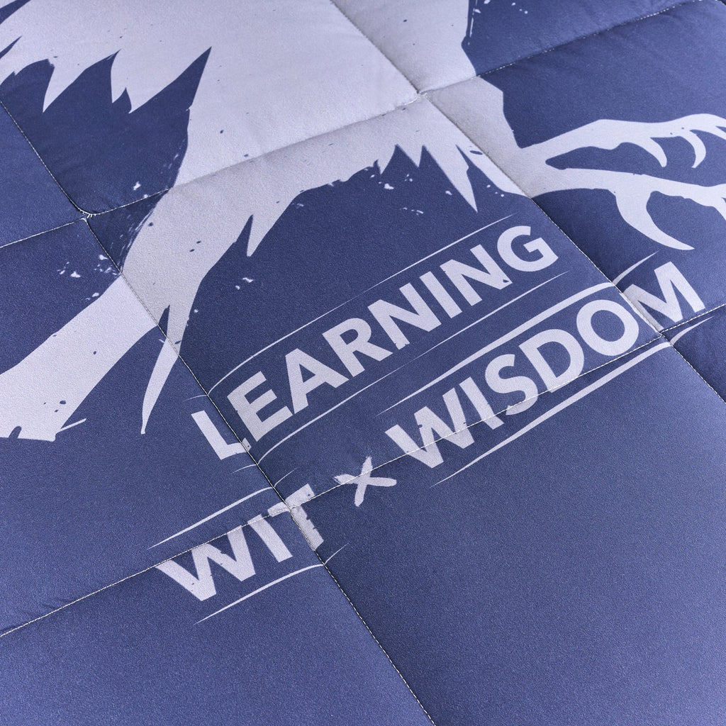 Duvet 250 gr Ravenclaw Values