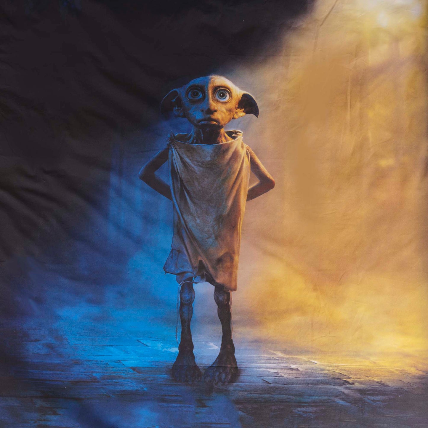 Funda nórdica Harry Potter microsatén Dobby