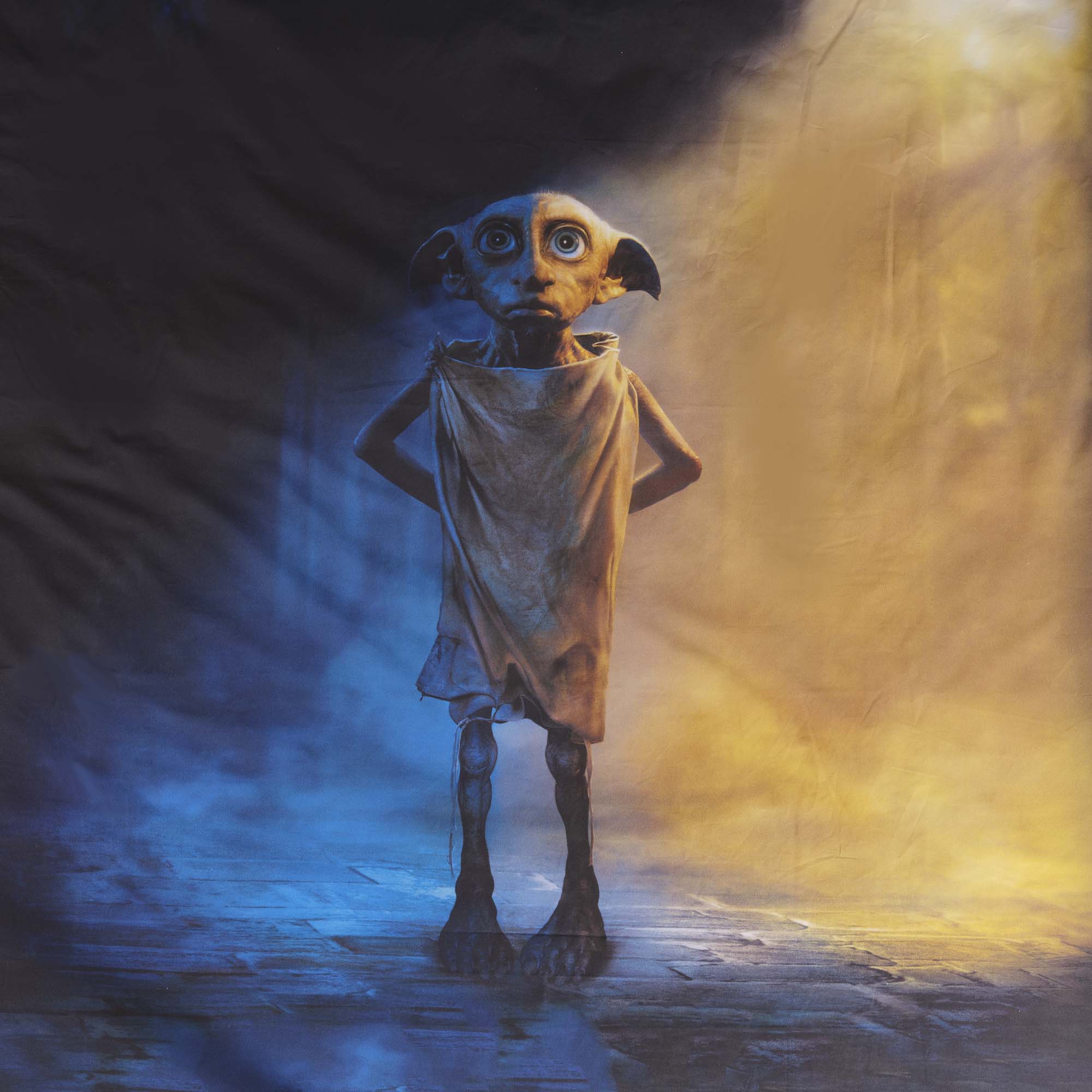 Harry Potter microsatin Dobby duvet cover