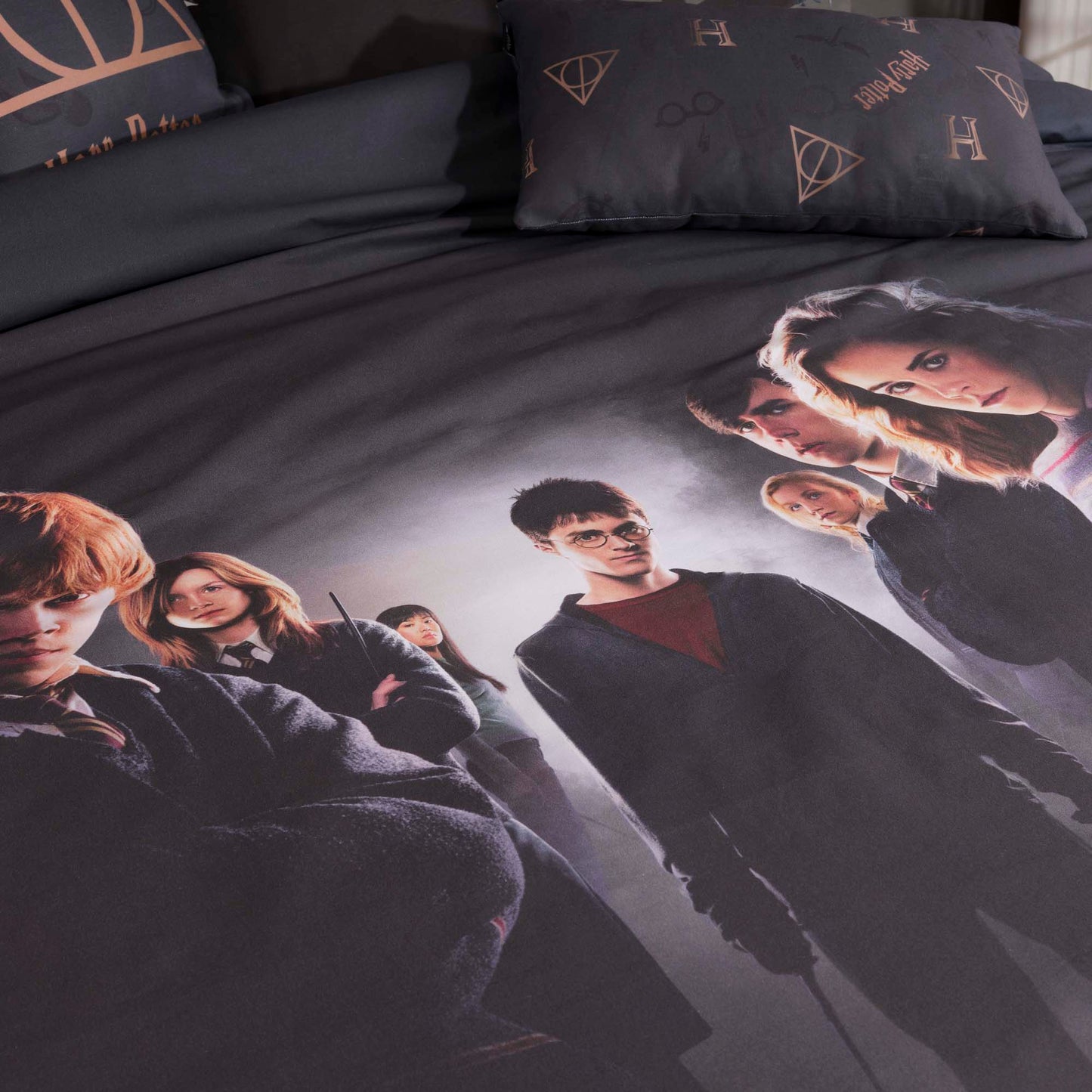 Funda nórdica Harry Potter microsatén Dumbledore's Army