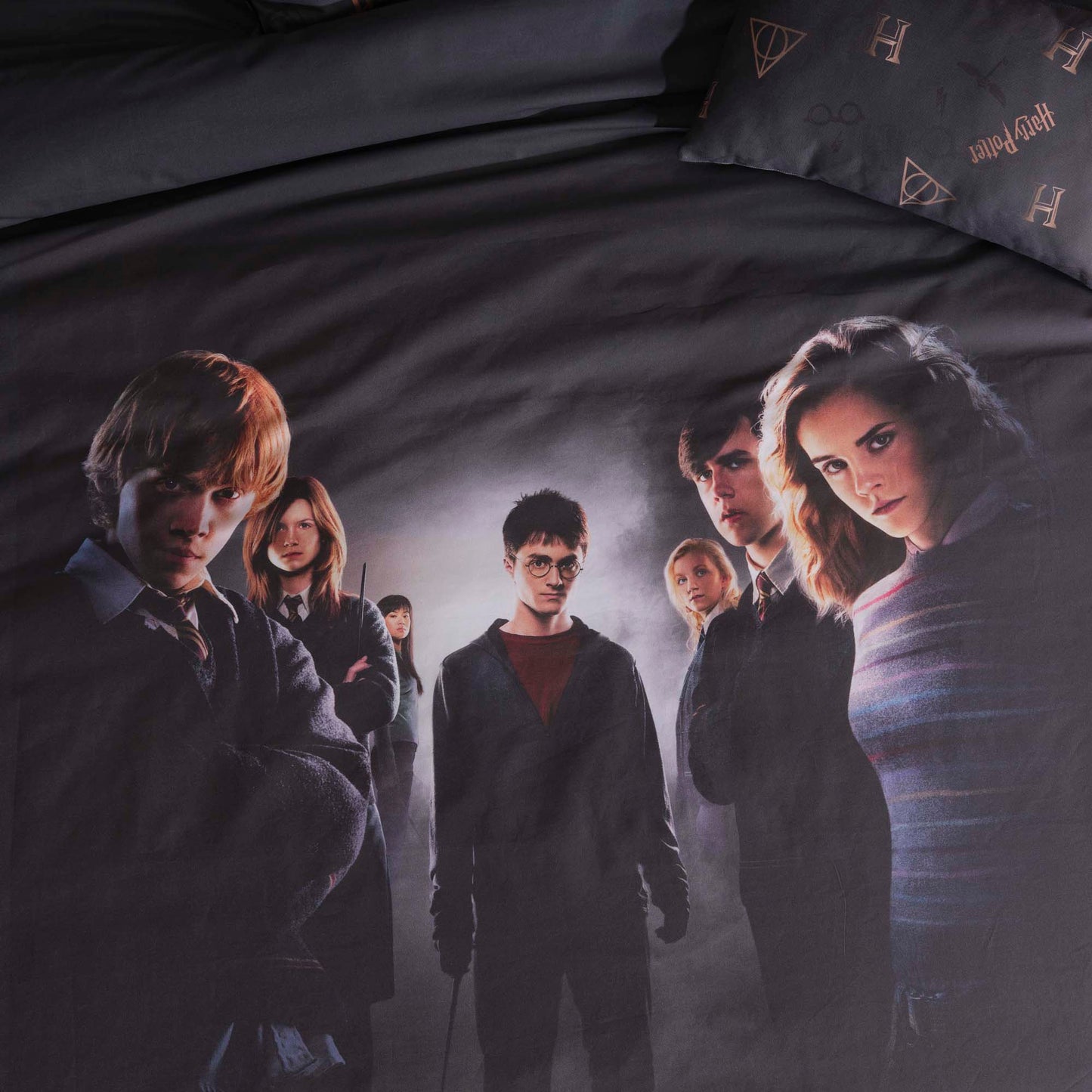 Funda nórdica Harry Potter microsatén Dumbledore's Army