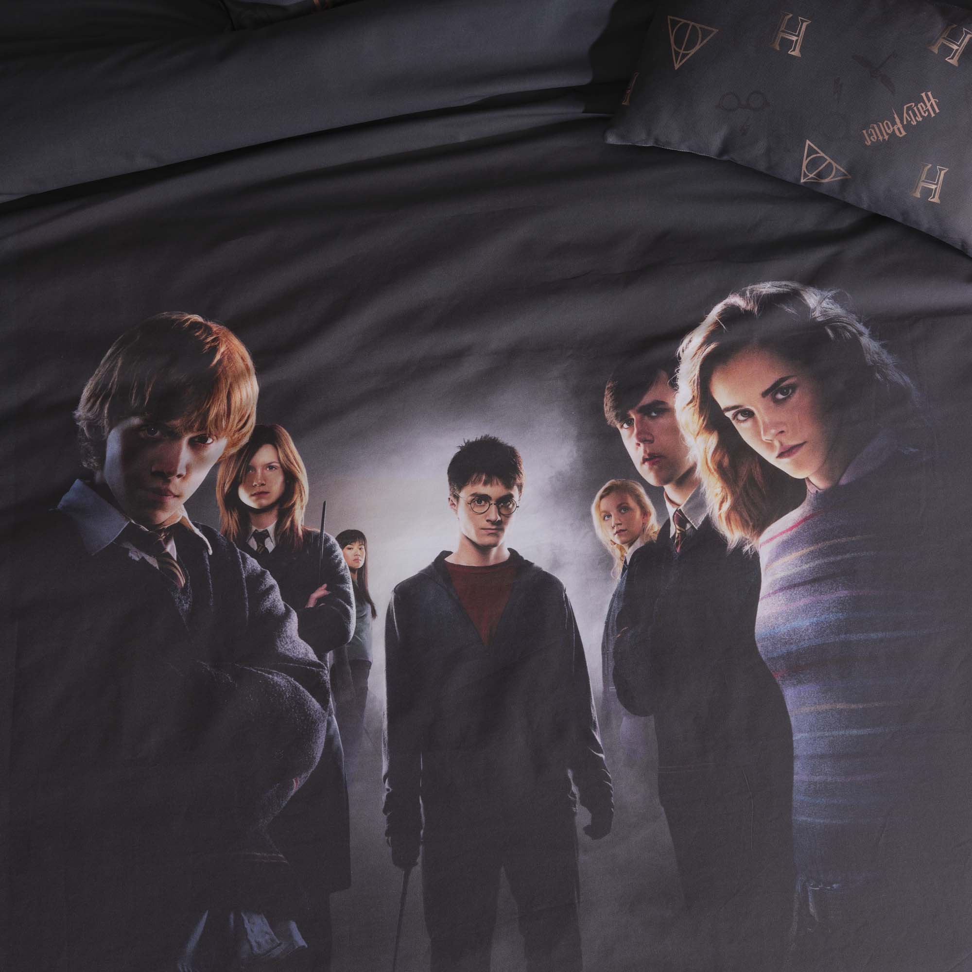 Harry Potter microsatin Dumbledore's Army duvet cover