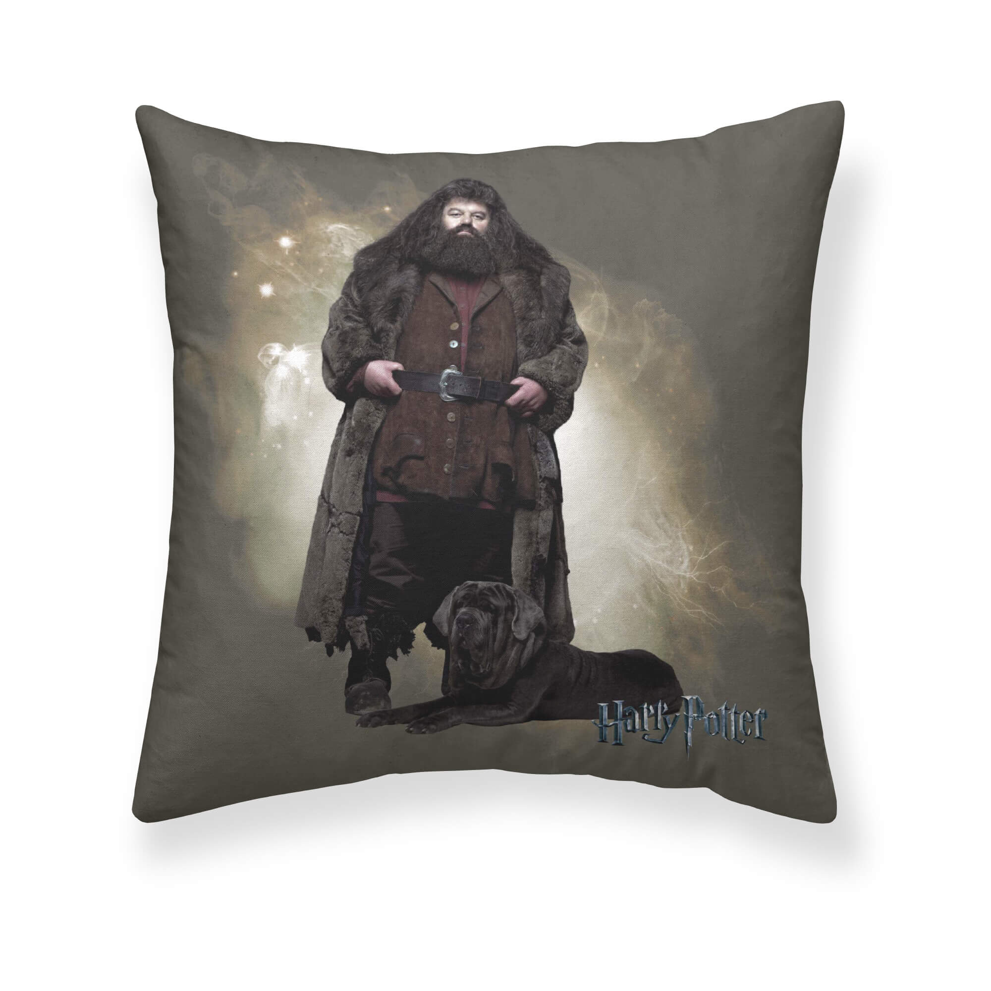 Harry Potter microsatin Hagrid pillowcase A 65x65 cm