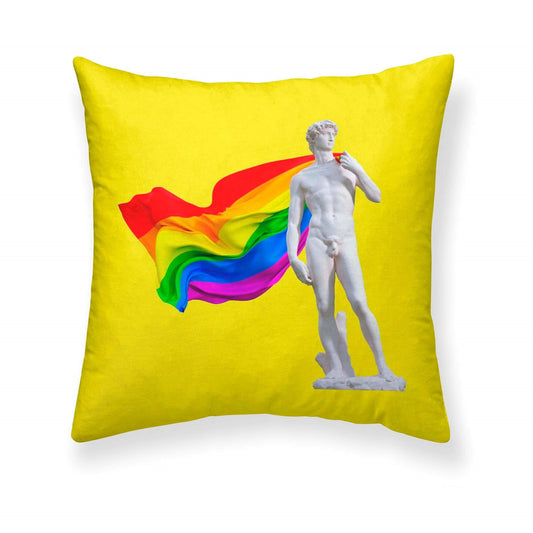 Housse de coussin 100% coton Fierté 13 50x50 cm