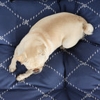 Cama para mascotas gruesa y acolchada antimanchas Benicassim Marino