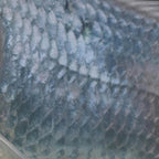 Mantel antimanchas 100% algodón Calella