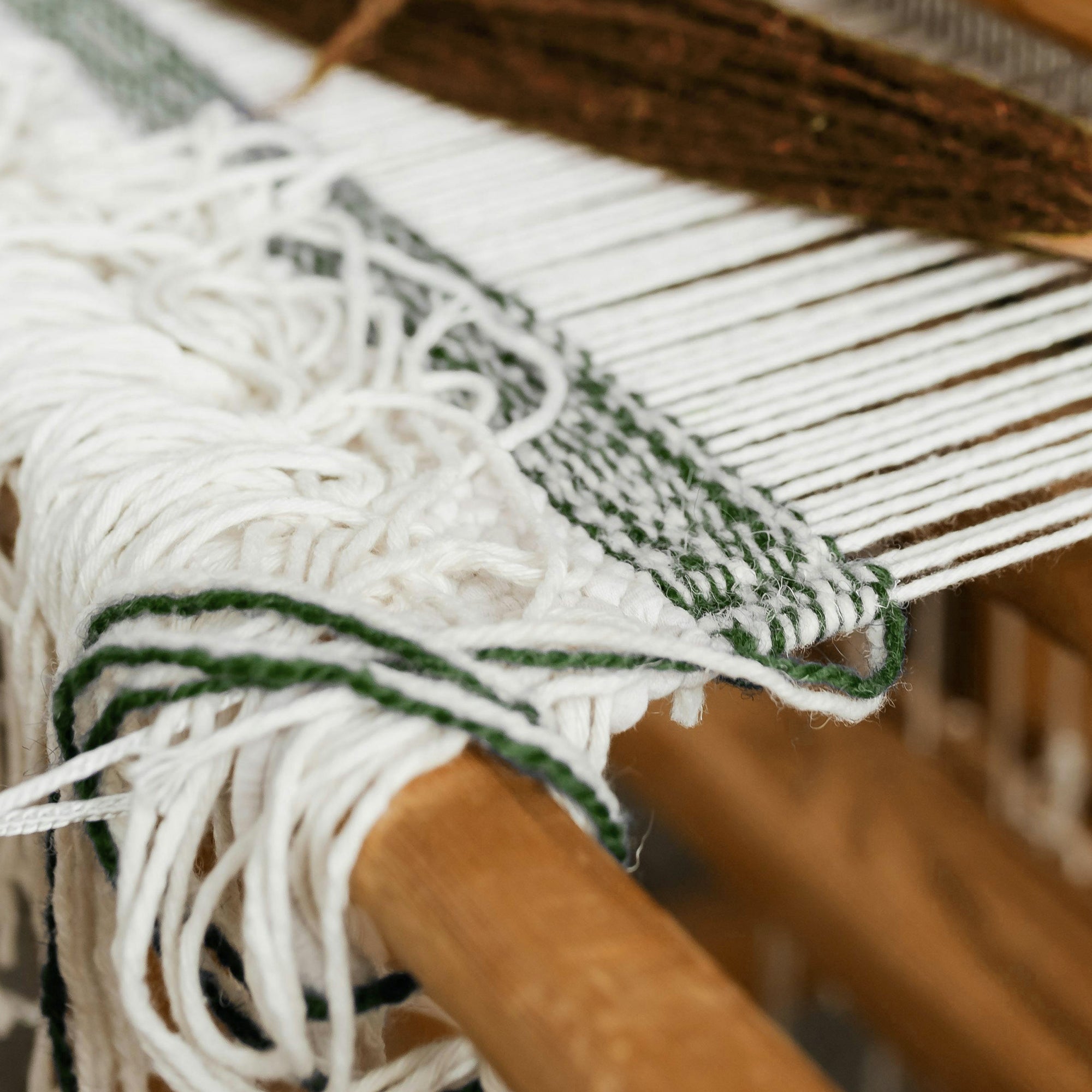 Mantel antimanchas 100% algodón Lluc Verde