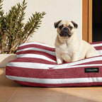 Cama para mascotas gruesa y acolchada antimanchas Torrox Grande