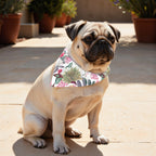 Pack 2 unidades bandana para mascotas Modelo 1