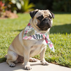 Pack 2 unidades bandana para mascotas Modelo 1