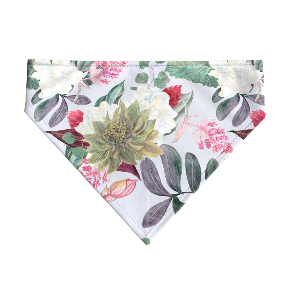 Pack 2 unidades bandana para mascotas Modelo 1