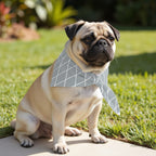 Pack 2 unidades bandana para mascotas Modelo 12