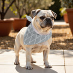 Pack 2 unidades bandana para mascotas Modelo 12