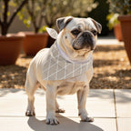 Pack 2 unidades bandana para mascotas Modelo 13