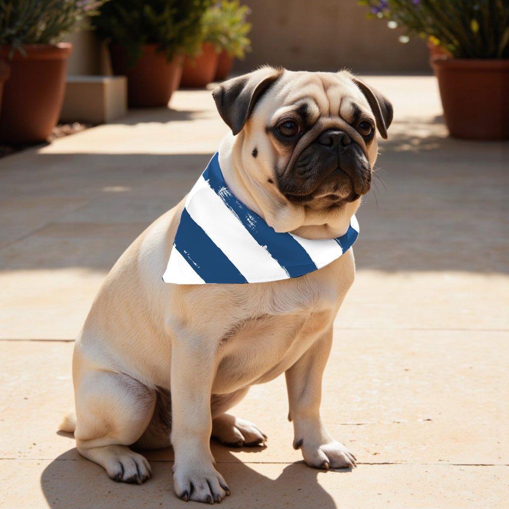 Pack 2 unidades bandana para mascotas Modelo 15