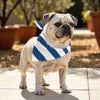 Pack 2 unidades bandana para mascotas Modelo 15