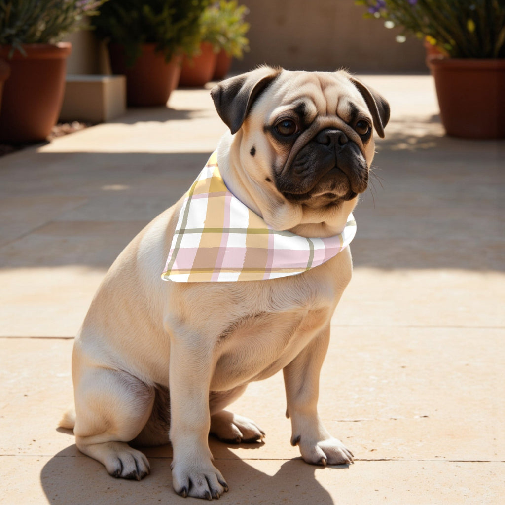 Pack 2 unidades bandana para mascotas Modelo 16