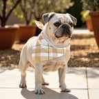 Pack 2 unidades bandana para mascotas Modelo 16